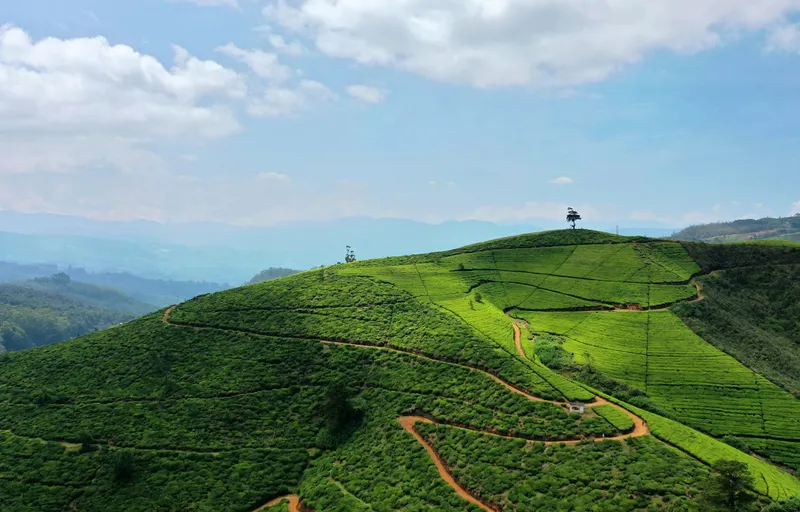Nuwara Eliya