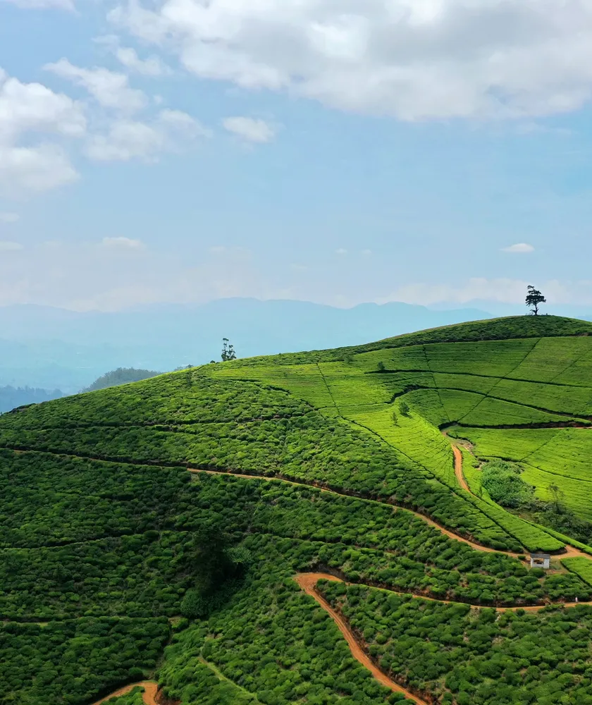 Nuwara Eliya